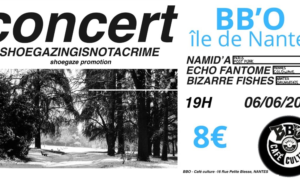 Concert Namid A + Echo Fantome + Bizarre Fishes 1